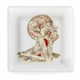 Photo via Wellcome Collection shop.